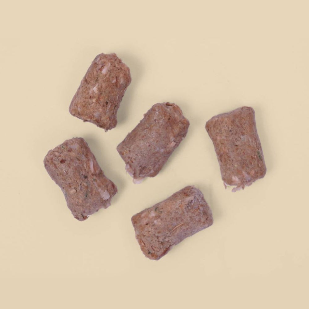 Big Dog Raw Bites Sensitive Skin Dog Food 1.3kg