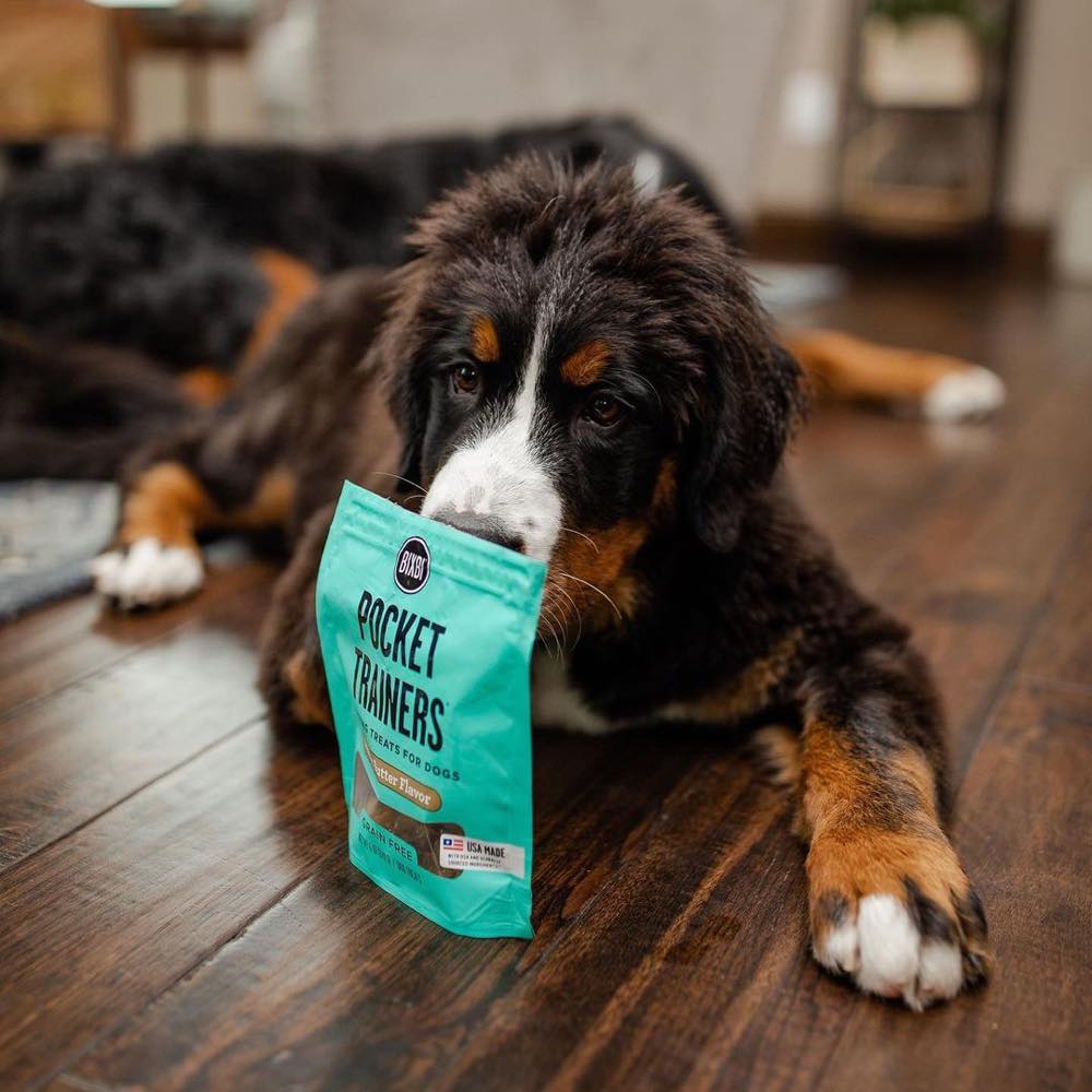 Bixbi Dog Treats — Delicious, Healthy Rewards For Dogs Of All Ages!