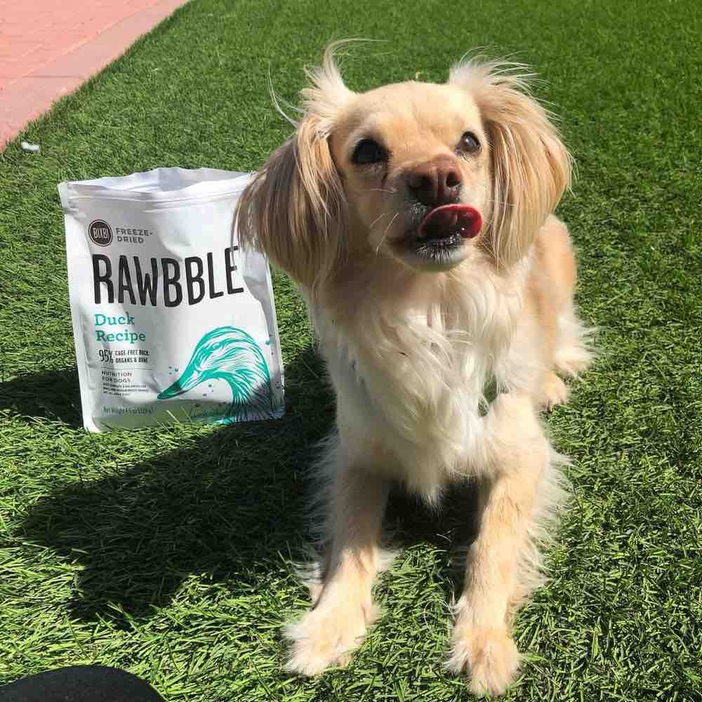 Bixbi Rawbble Grain-Free Freeze-Dried Dog Food — Protein-Packed Raw Diets!