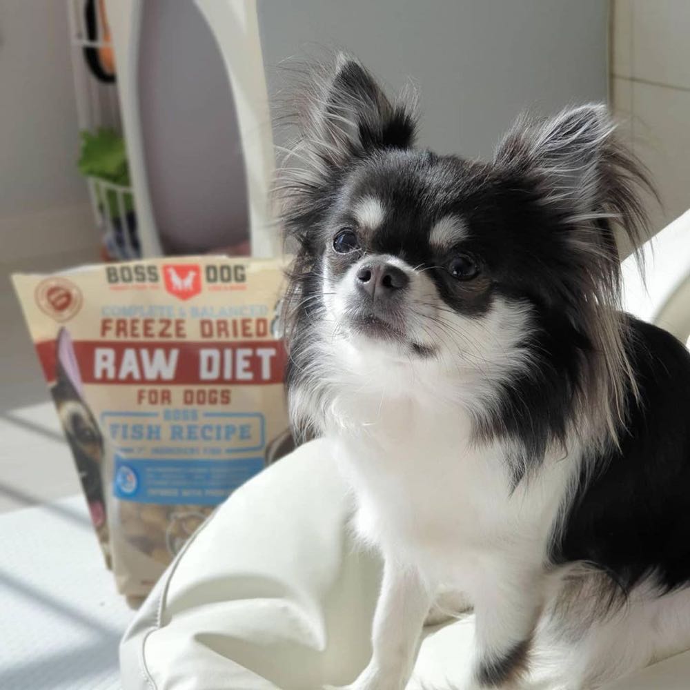 Boss Dog Freeze-Dried Raw Dog Food — Delicious, Protein-Rich Raw Diets!