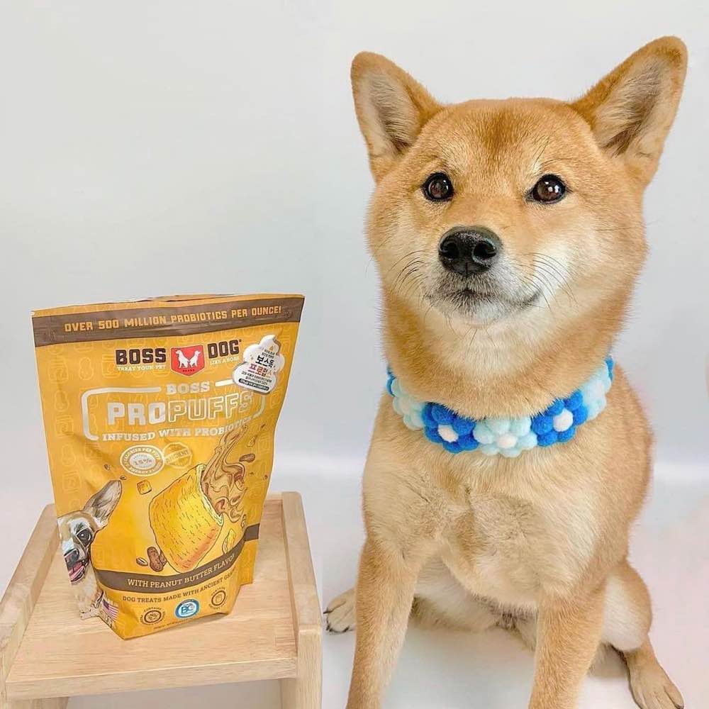 Boss Dog Propuffs Dog Treats — Delicious, Low Calories Treats Infused With Probiotics!