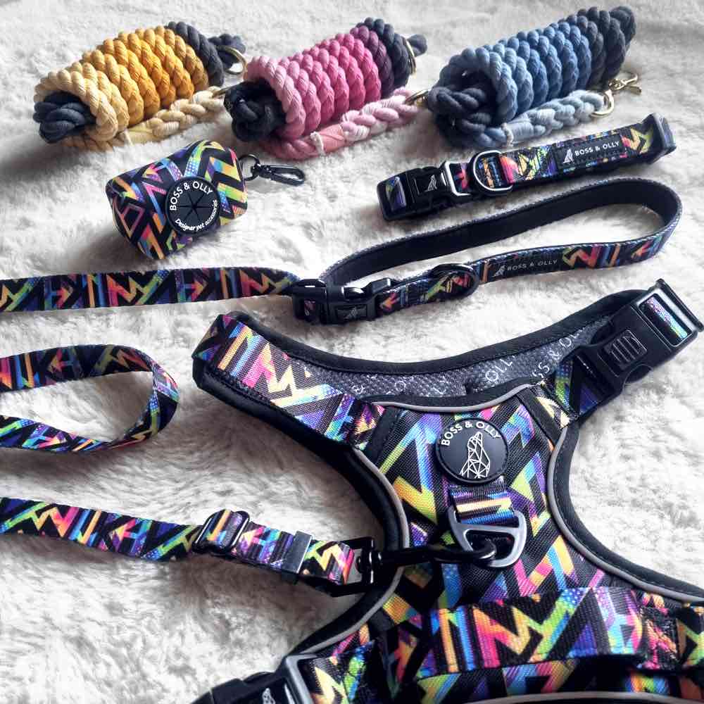 Boss & Olly Hand-Dyed Cotton Rope Dog Leash — One Of A Kind, Handcrafted Leashes!