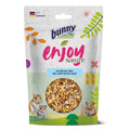 Bunny Nature EnjoyNature Mix With Kardi Seed Rabbit Treat 120g