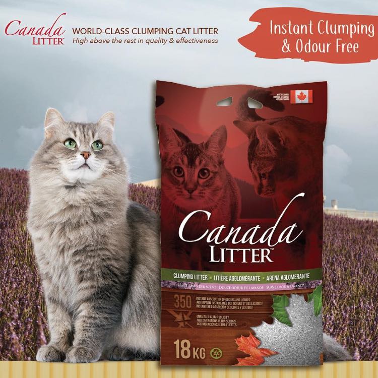 Canada Clumping Cat Litter — Convenient & Easy To Maintain!
