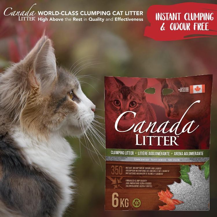 Canada Clumping Cat Litter — One Of The Best-Selling Cat Litter Brands!
