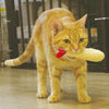 CattyMan Dental Shrimp Mesh Chew With Natural Silvervine Powder Plush Cat Toy