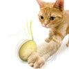 CattyMan Playful Plastic Ball Cat Toys (4pc)