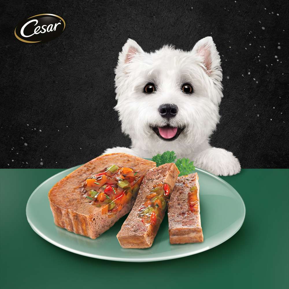 Cesar Beef & Vegetables Pate Tray Dog Food 100g