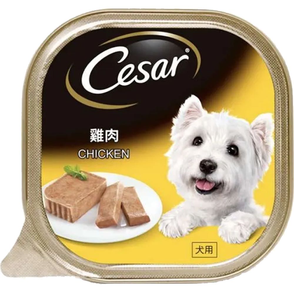 Cesar Chicken Pate Tray Dog Food | Kohepets