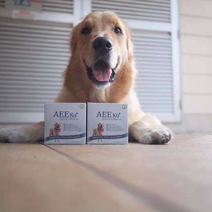 AEE K9 Probiotic & Prebiotic Dog Supplements