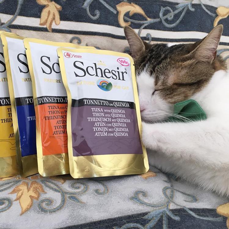 Available In An Array Of Flavours And Sizes