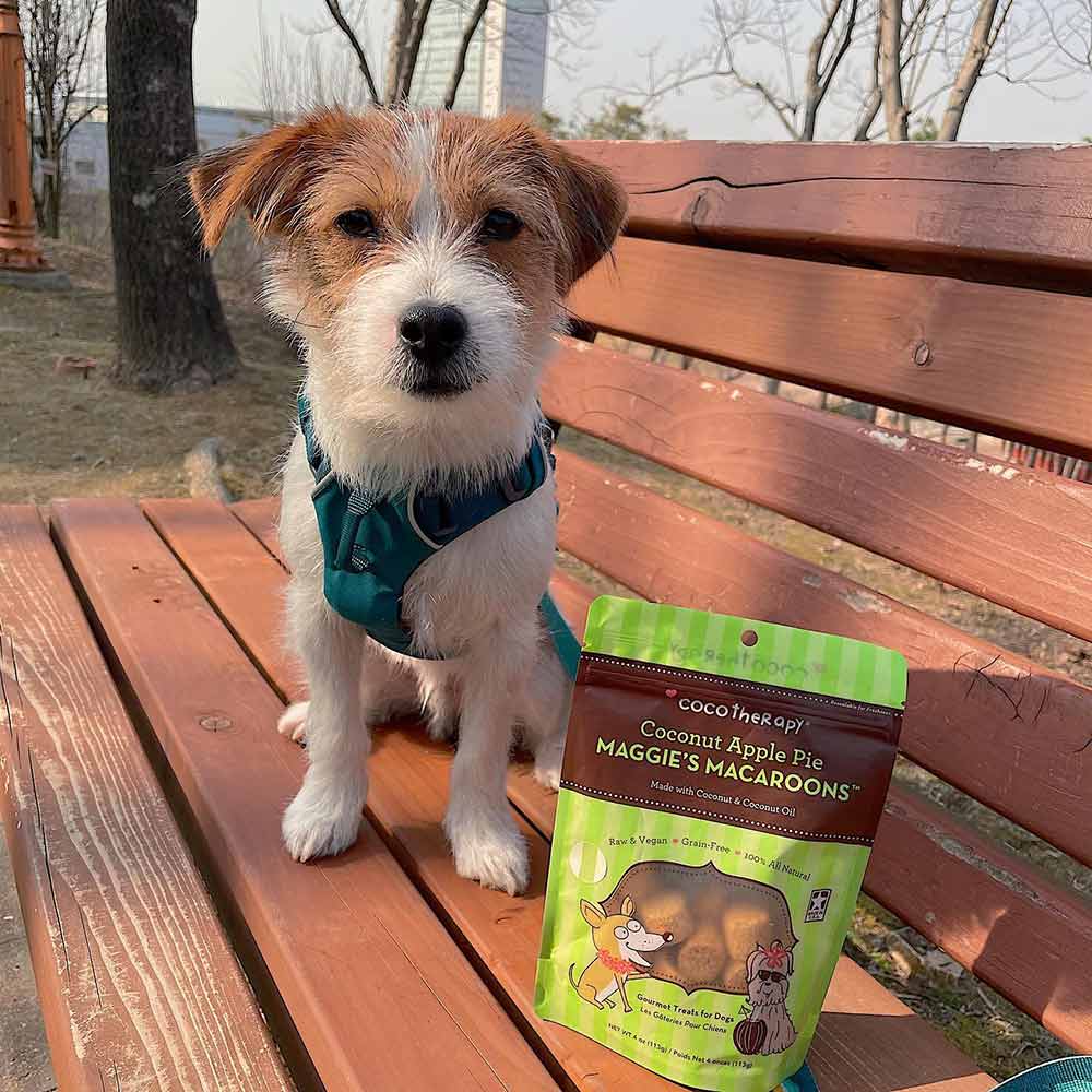 CocoTherapy Treats For Cats & Dogs — Scrumptious, Nutritious Organic Coconut Treats!