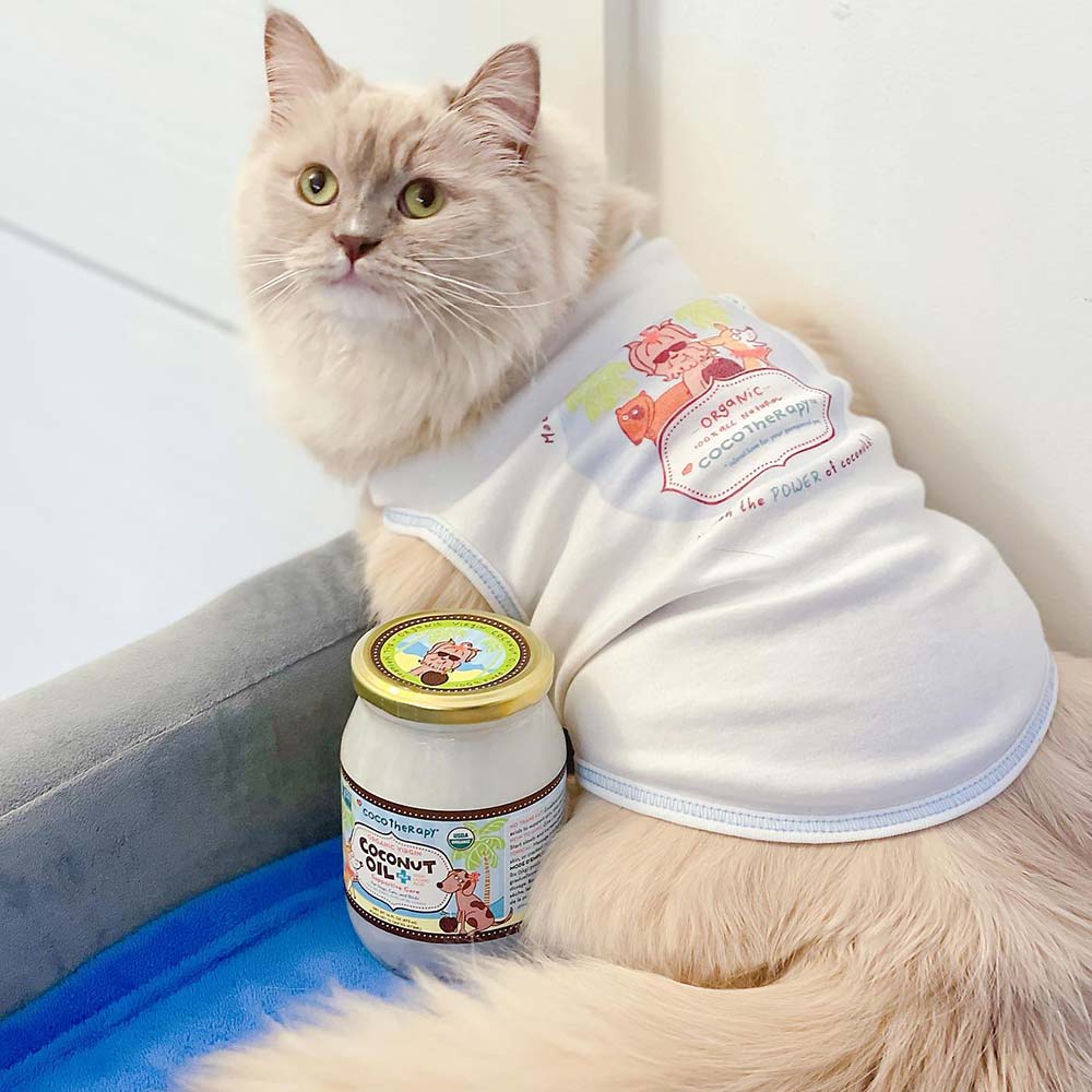 CocoTherapy Coconut Oils & Supplements — Wholesome, Holistic Supplements From Organic Coconuts!