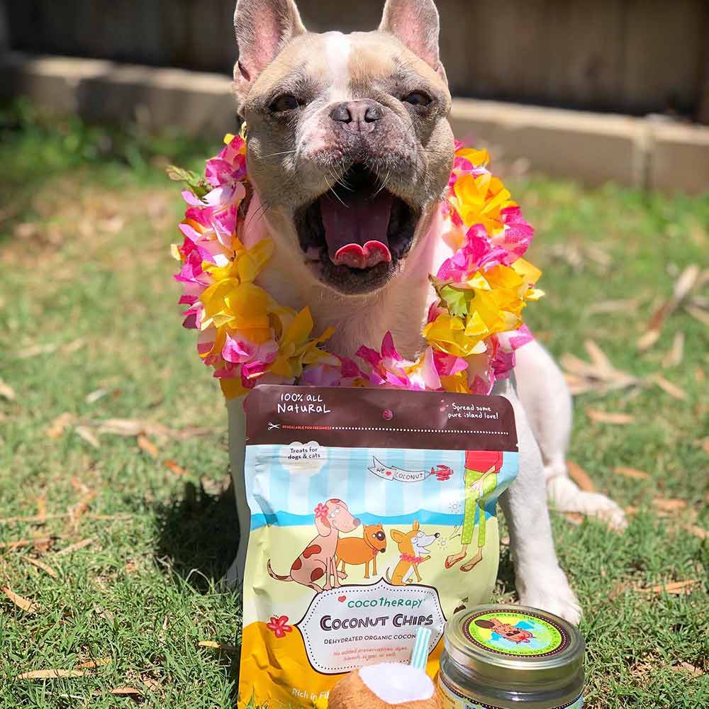 CocoTherapy — Go Nuts For Coconut Oils, Treats, Supplements & More!
