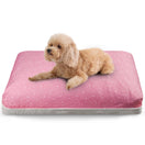 DreamCastle Natural Dog Bed (Little Star)