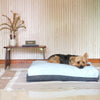 DreamCastle Cooling Natural Dog Bed (Sky)
