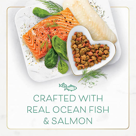 'BUNDLE DEAL': Fancy Feast with Ocean Fish & Salmon Dry Cat Food