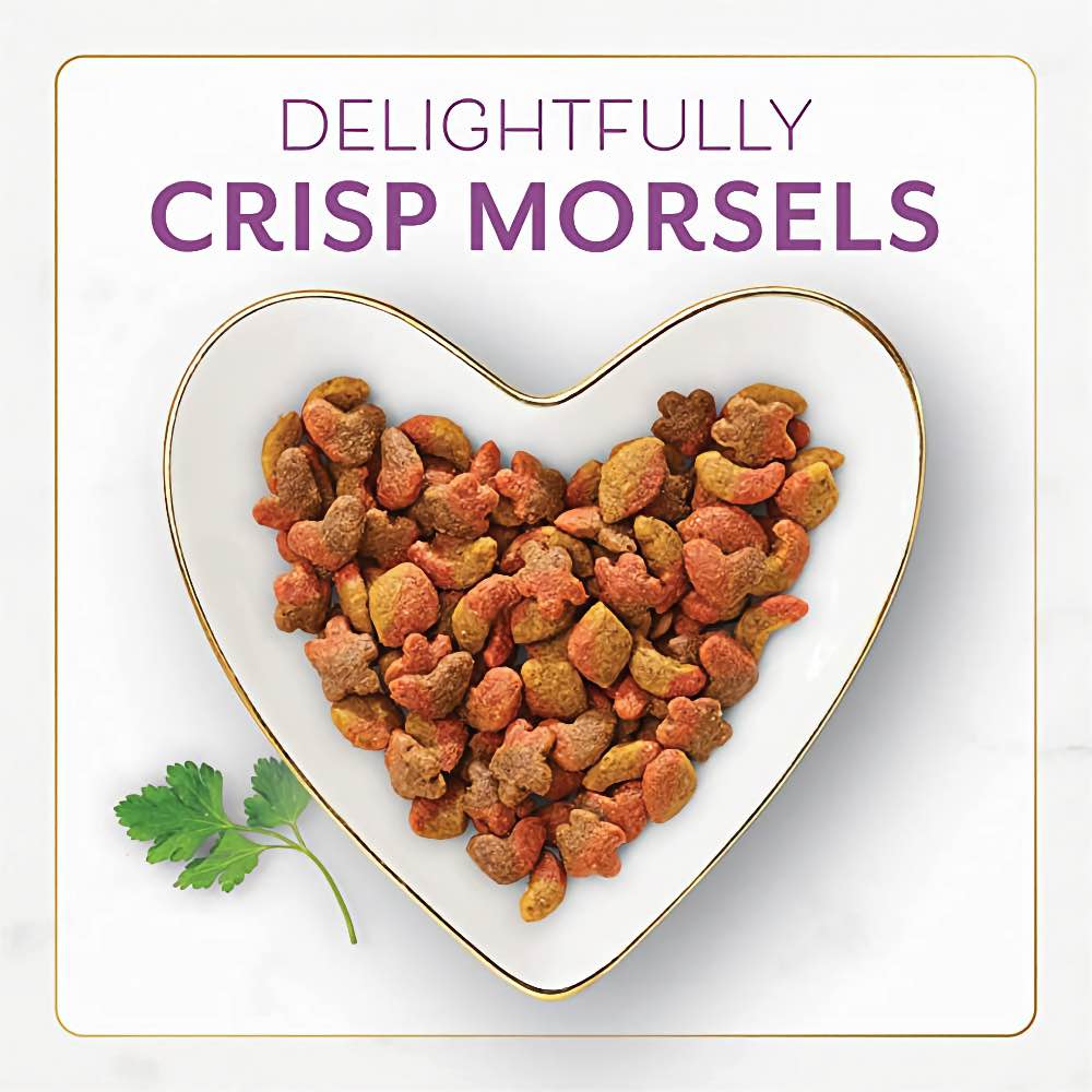 'BUNDLE DEAL': Fancy Feast with Savory Chicken & Turkey Dry Cat Food