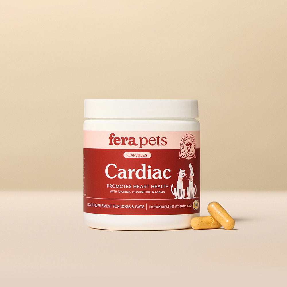 10% OFF + BUNDLE DEAL: Fera Pets Cardiac Support Supplement For Cats & Dogs 60caps - Kohepets