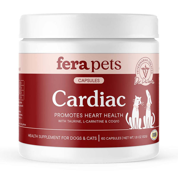 what time of the day should i take l carnitine Heart+ Supplement for Dogs + Cats – InClover Research main image 0