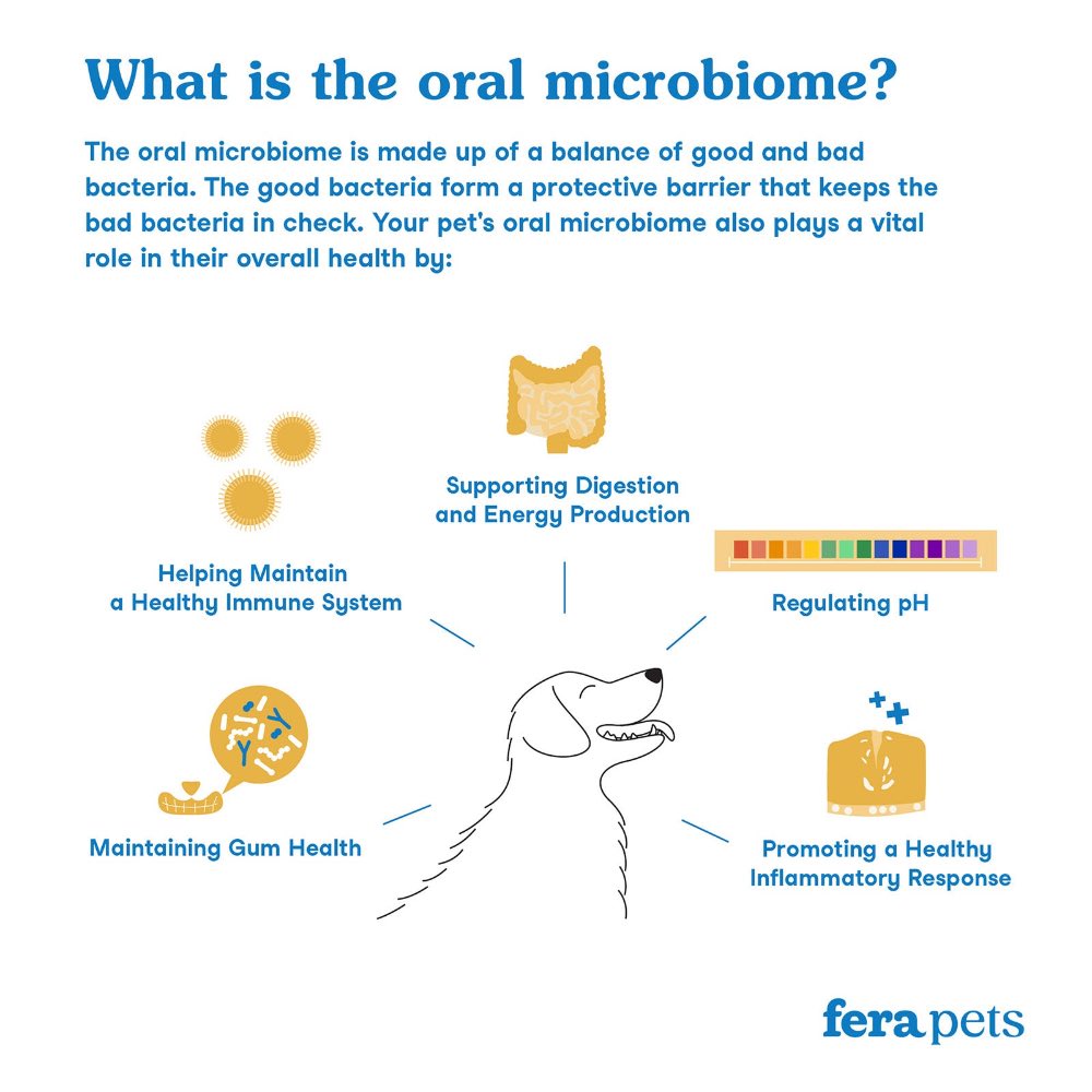 Fera Pets Dental Support Supplement Powder For Cats & Dogs 60g