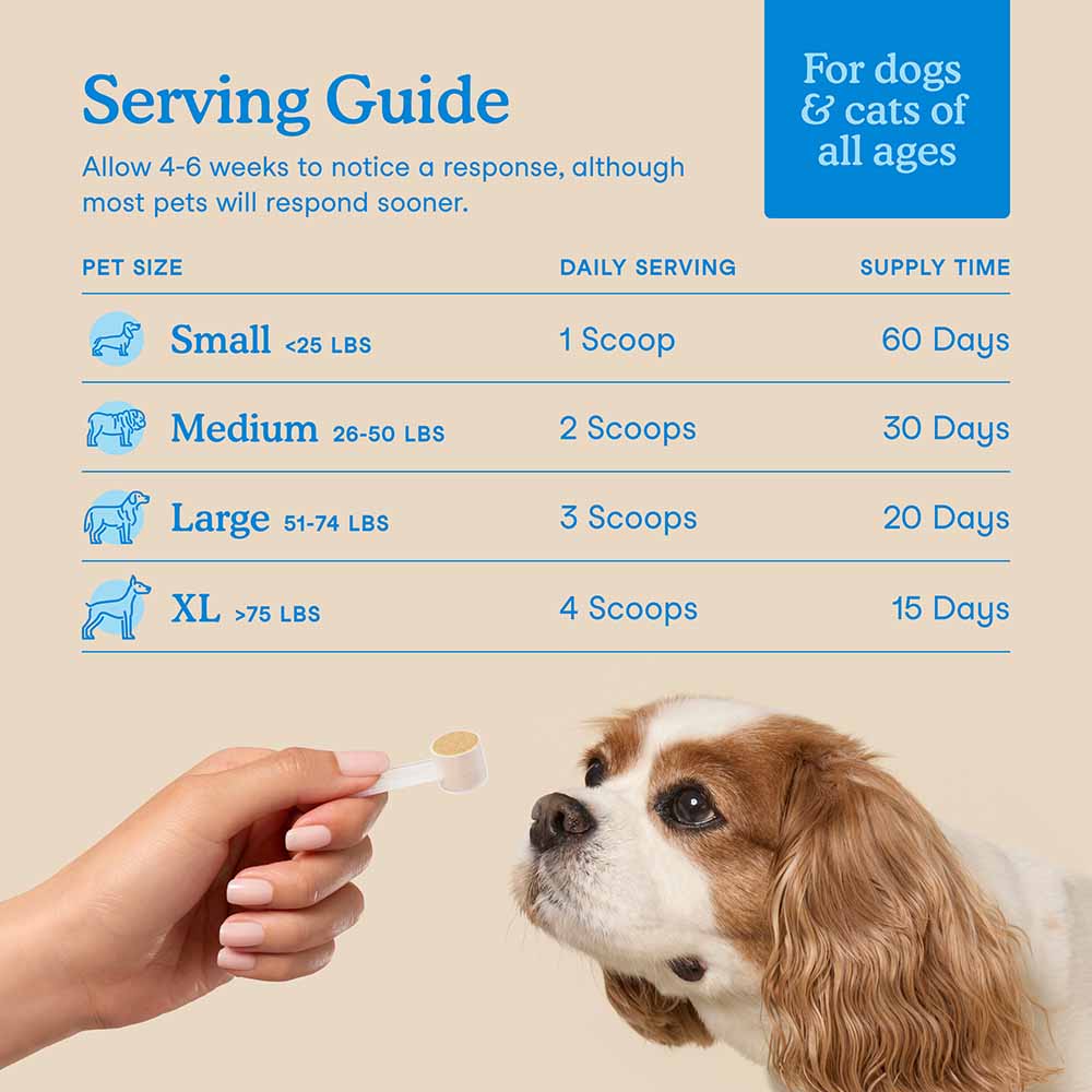 Fera Pets Dental Support Supplement Powder For Cats & Dogs 60g