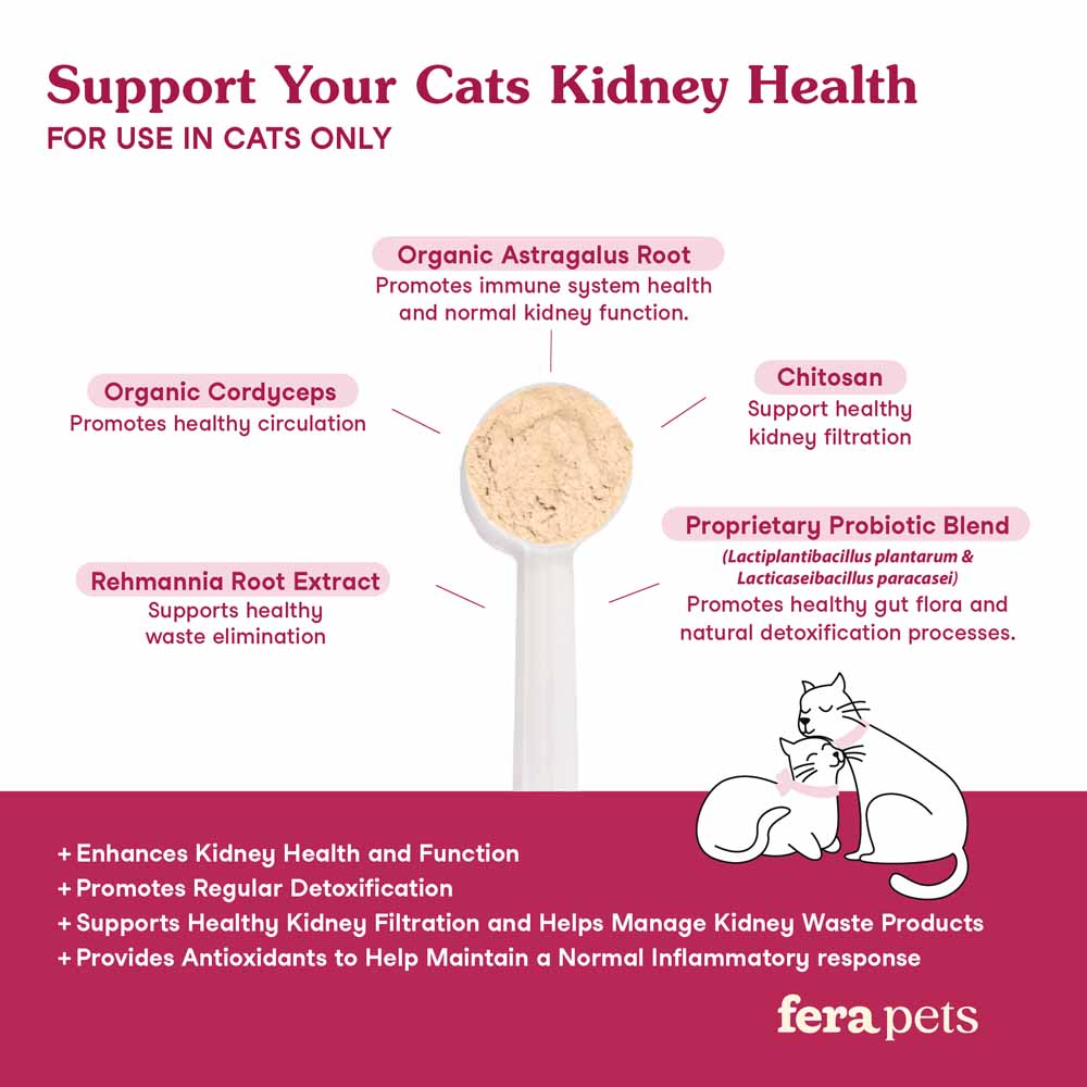 'UP TO 15% OFF + FREE WELLNESS BLEND': Fera Pets Kidney Support Supplement Powder For Cats 60g - Kohepets