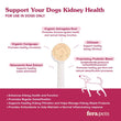 10% OFF + BUNDLE DEAL: Fera Pets Kidney Support Supplement Powder For DOGS 60g - Kohepets