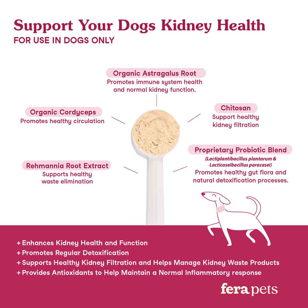 10% OFF + BUNDLE DEAL: Fera Pets Kidney Support Supplement Powder For DOGS 60g - Kohepets