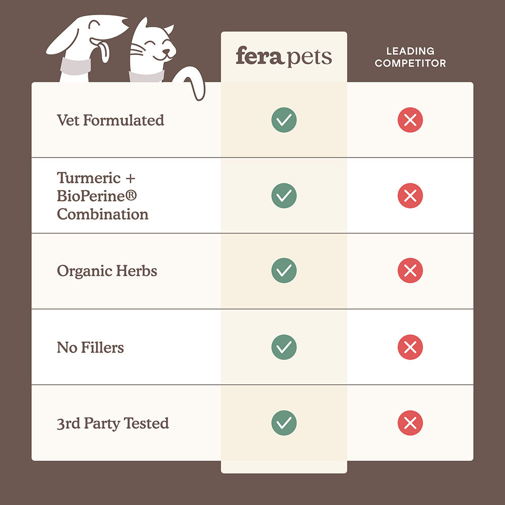 Fera Pets Liver Support Supplement Powder For Cats & Dogs 2.5oz