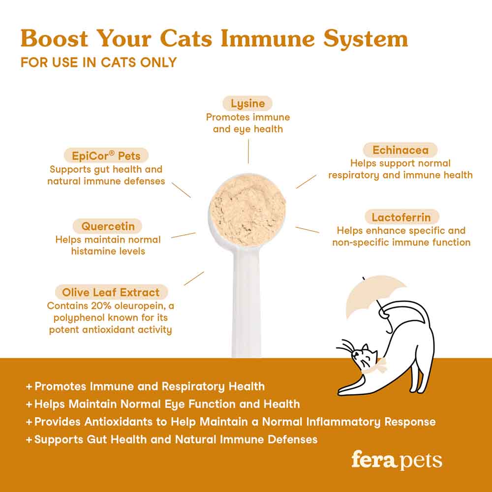 'UP TO 15% OFF + FREE WELLNESS BLEND': Fera Pets Lysine Immune Support Supplement Powder For Cats 60g - Kohepets