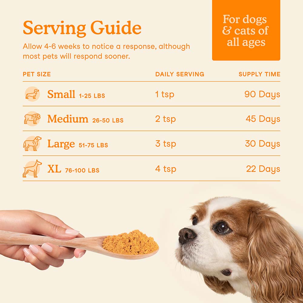 Fera Pets Pumpkin Plus Fiber Support Supplement Powder For Cats & Dogs 8oz