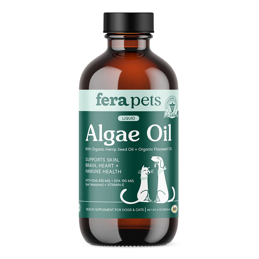 A closer look at Dog Food With Omega 3 And Flaxseed