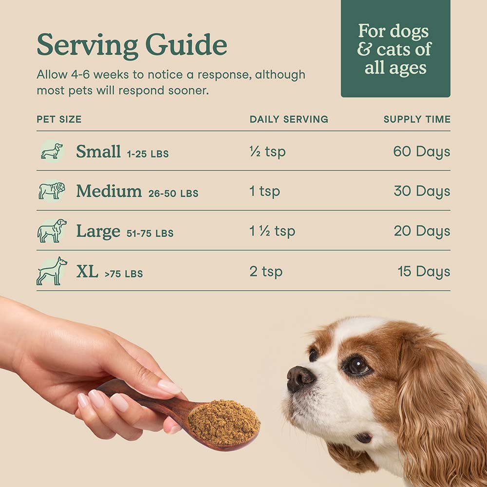 10% OFF + BUNDLE DEAL: Fera Pets Whole Food Multivitamin Supplement Topper For Cats & Dogs 3.7oz - Kohepets