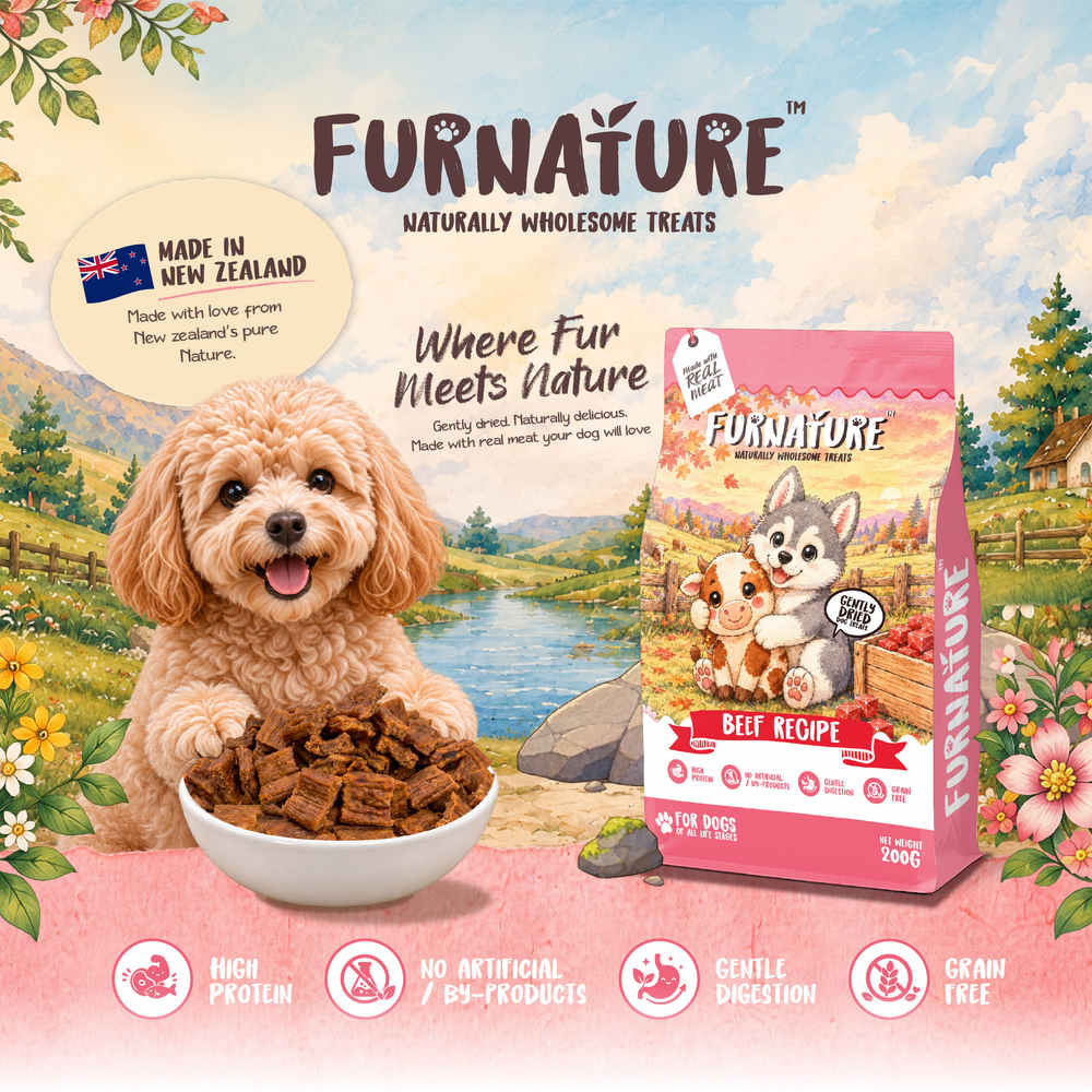 Furnature Beef Natural Wholesome Gently Dried Dog Treats 200g