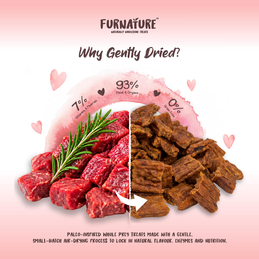 Furnature Beef Natural Wholesome Gently Dried Dog Treats 200g
