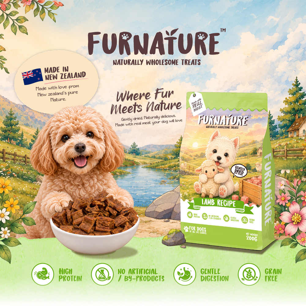 Furnature Lamb Natural Wholesome Gently Dried Dog Treats 200g