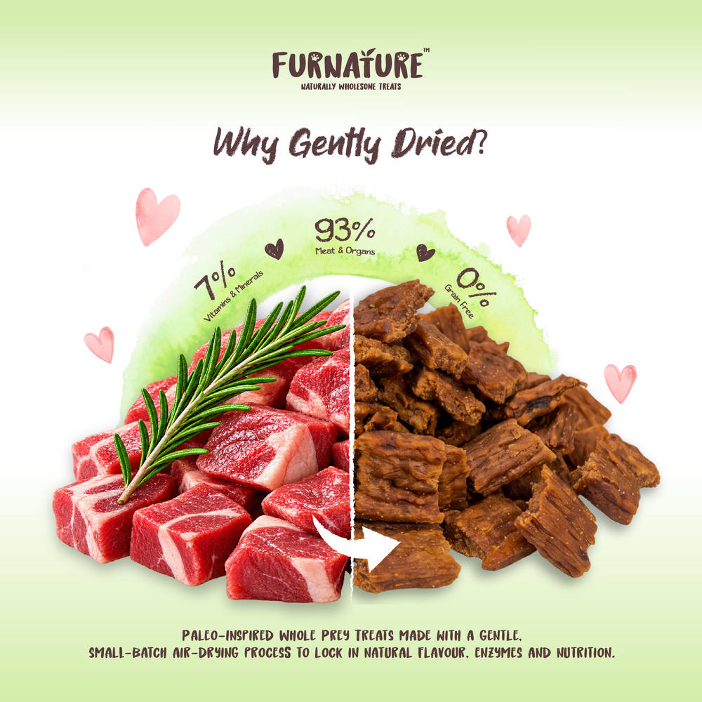 Furnature Lamb Natural Wholesome Gently Dried Dog Treats 200g