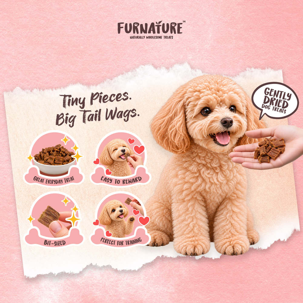 Furnature Lamb Natural Wholesome Gently Dried Dog Treats 200g