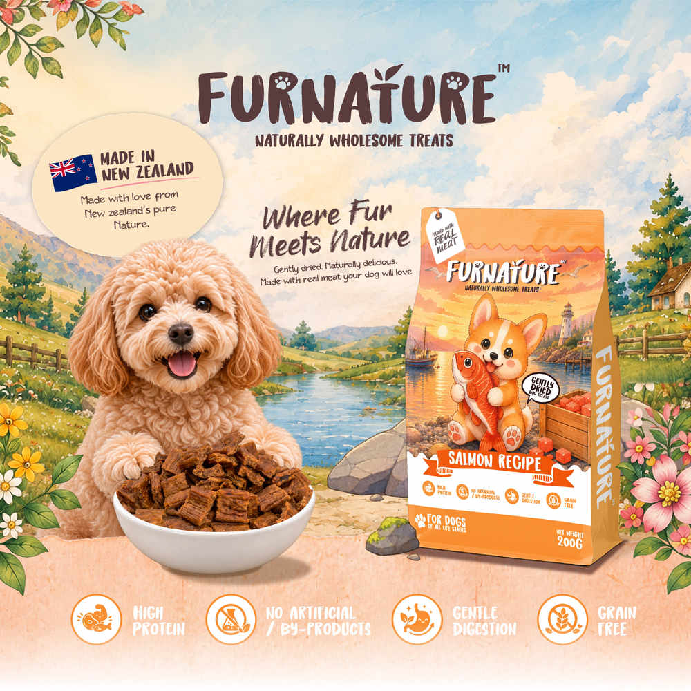 Furnature Salmon Natural Wholesome Gently Dried Dog Treats 200g