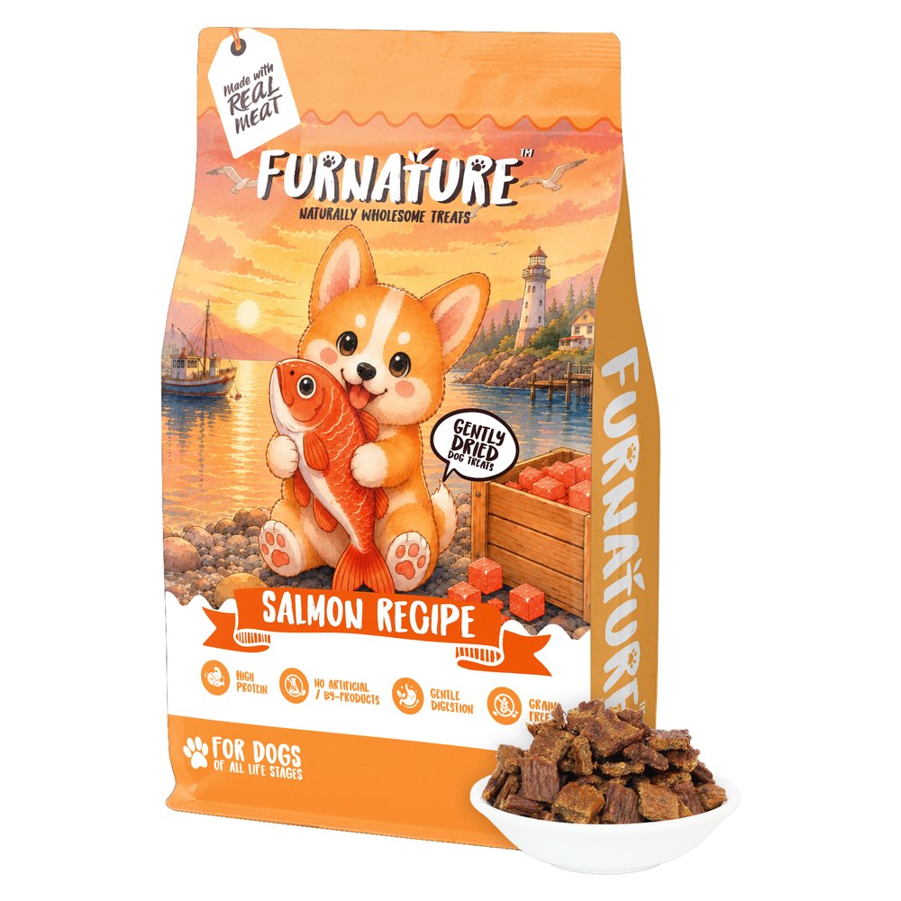 Furnature Salmon Natural Wholesome Gently Dried Dog Treats 200g