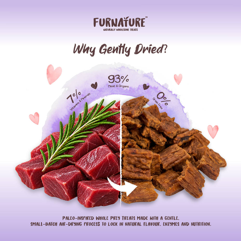 Furnature Venison Natural Wholesome Gently Dried Dog Treats 200g