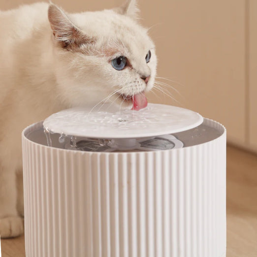 FurryTail Automatic Clear Cat Drinking Fountain 2L Kohepets