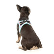 FuzzYard Bubblegum Burst Step-In Dog Harness