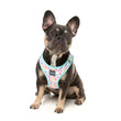 FuzzYard Bubblegum Burst Step-In Dog Harness