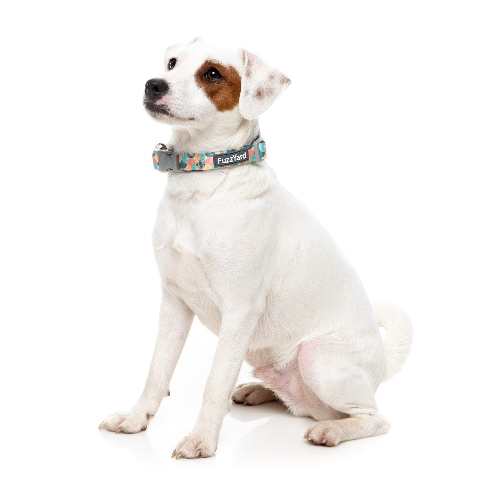 FuzzYard Carioca Dog Collar
