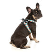FuzzYard Carioca Step-In Dog Harness