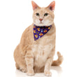 FuzzYard Cat Collar, Bandana & Bowtie Fashion Pack (Caturday Night Fever)