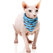 FuzzYard Cat Collar, Bandana & Bowtie Fashion Pack (Soy Sauce Fish)