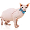 15% OFF: FuzzYard Cat Collar, Bandana & Bowtie Fashion Pack (Soy Sauce Fish)